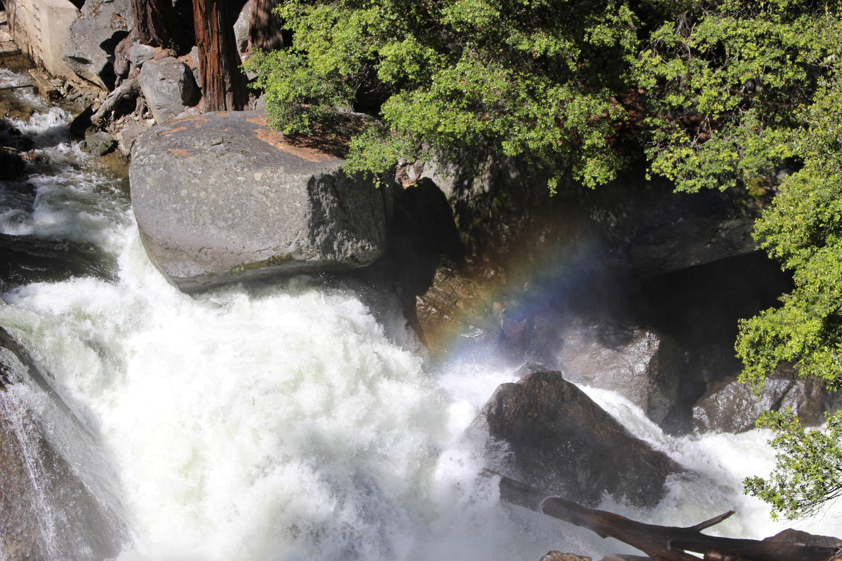 Costa Oeste + Polinesia Francesa - Blogs de USA - Dia 4. Yosemite - Mammoth Lake (10)