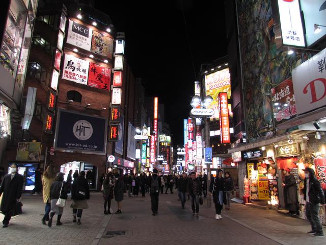 Japón en Invierno. Enero 2017 - Blogs de Japon - Tsukiji, Ginza, Odaiba y primer contacto con Shibuya (17/01/2017) (21)