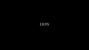Lion_2016_UK_01