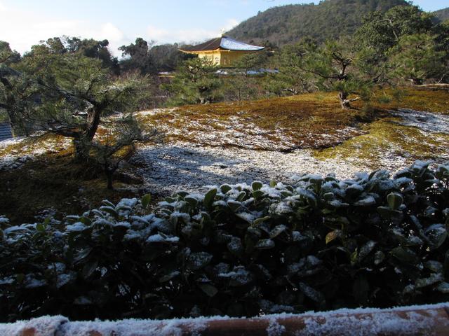 Kioto norte y Arashiyama (25/01/2017) - Japón en Invierno. Enero 2017 (6)